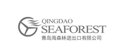 海森林進(jìn)出口外貿(mào)網(wǎng)站建設(shè)
